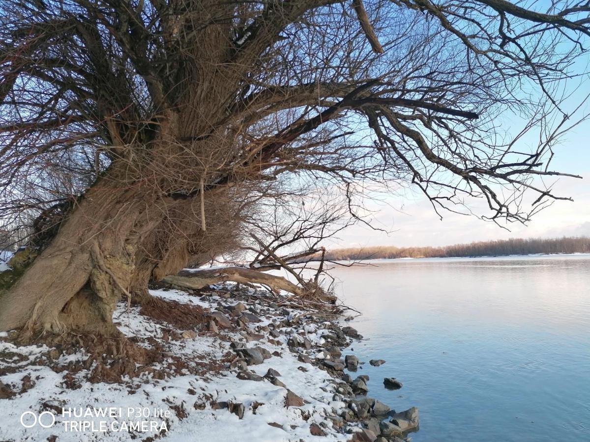 Captain'S House By The Danube River Cerevic المظهر الخارجي الصورة