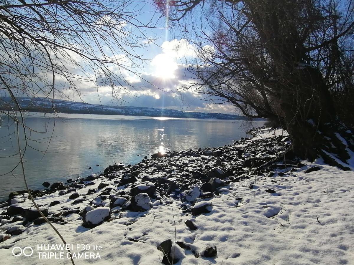 Captain'S House By The Danube River Cerevic المظهر الخارجي الصورة